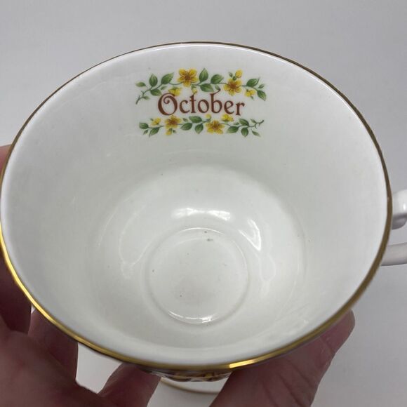 🔴 Elizabethan Staffordshire Bone China Tea Cup And Saucer October - Picture 7 of 10